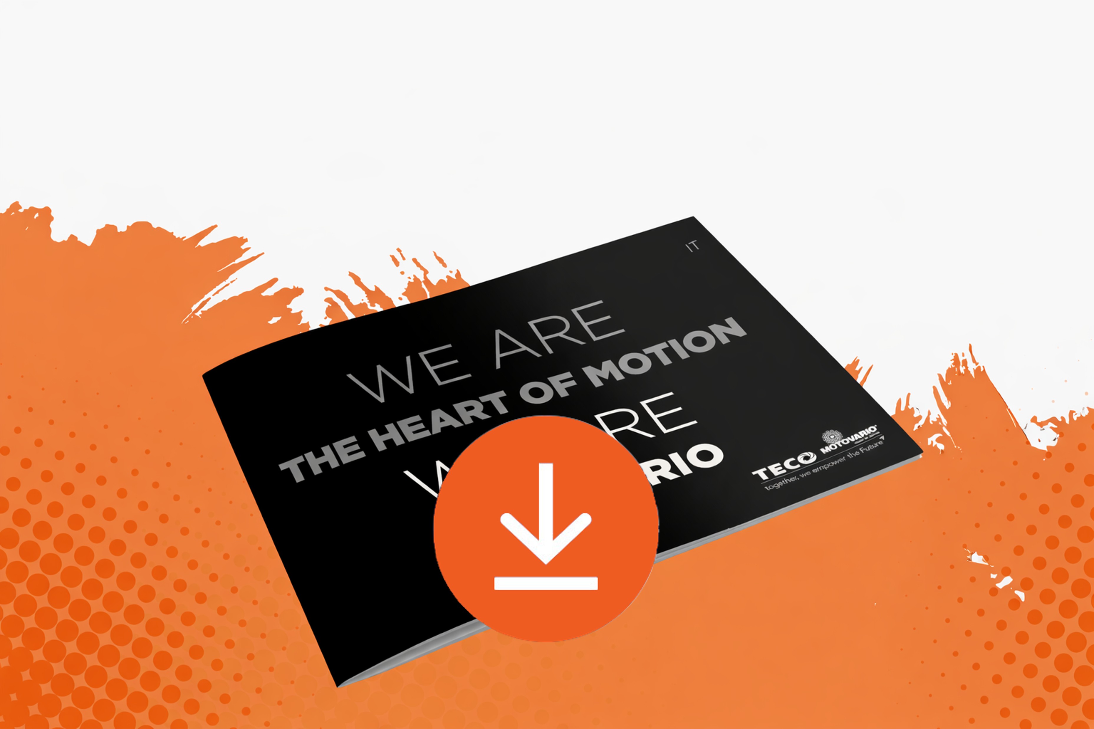 Lorem ipsum dolor sit